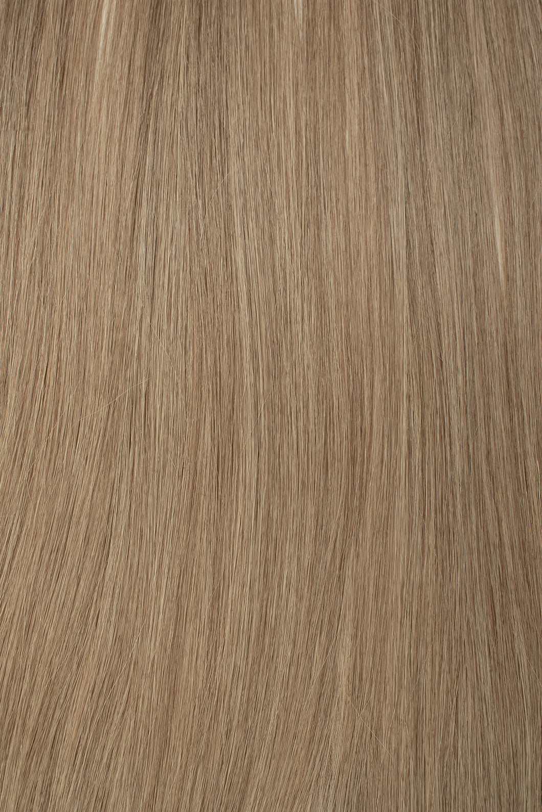 golden wheat