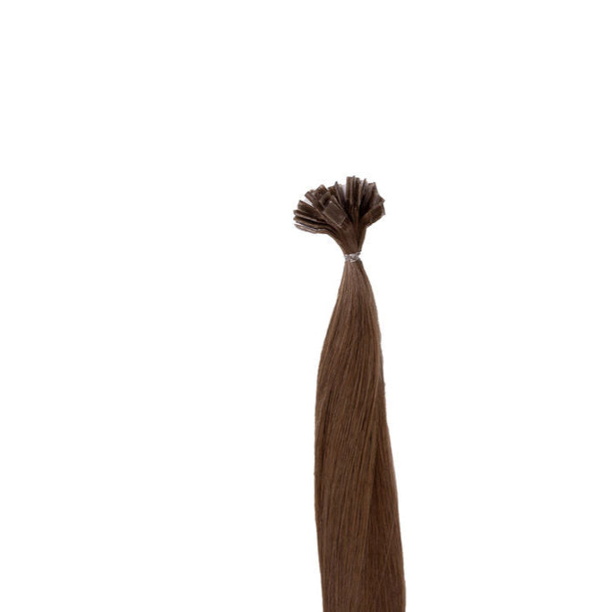 K-Tip Willow